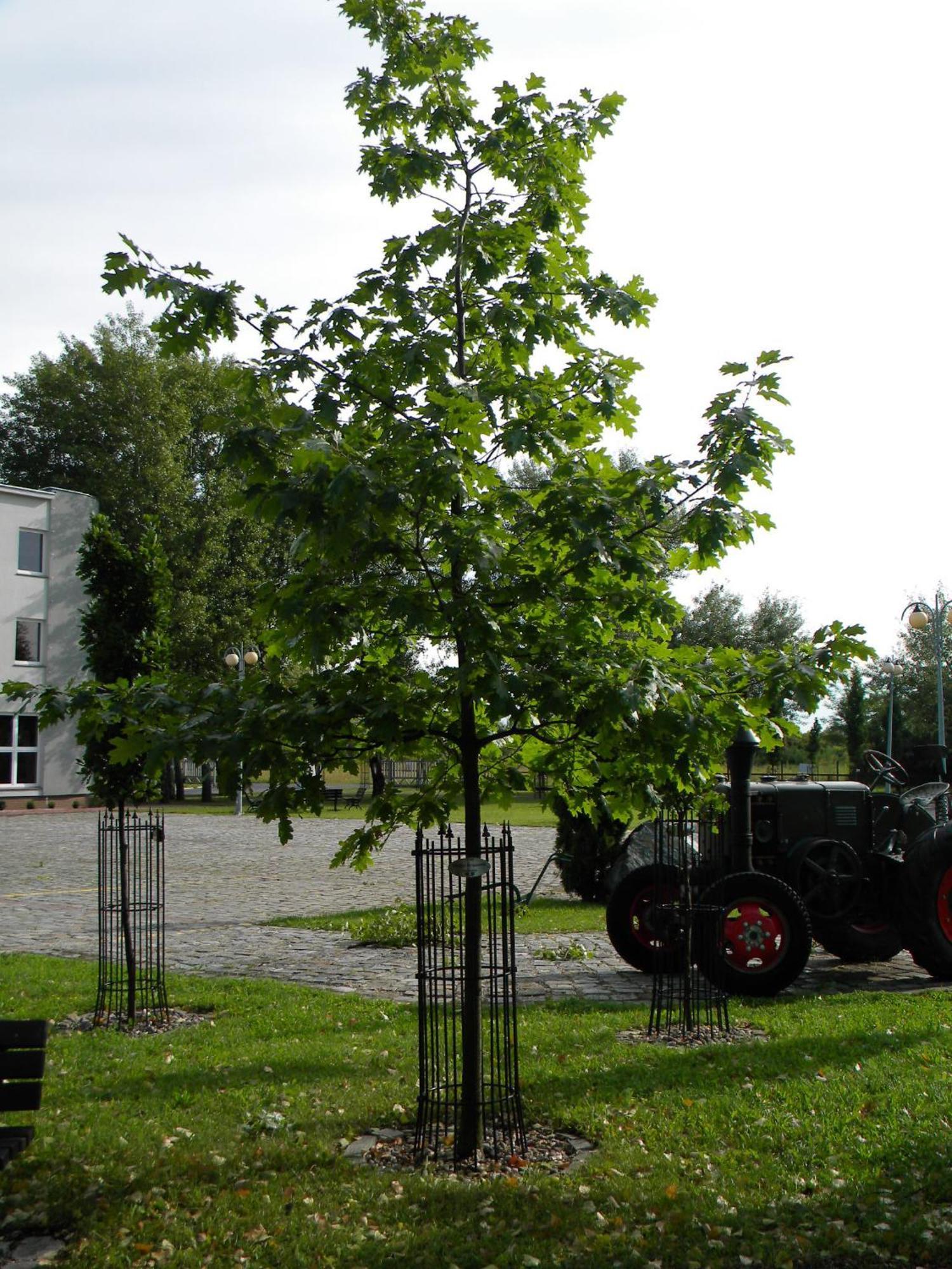 Hotel Kosmonauty Wroclaw-Airport Exterior foto